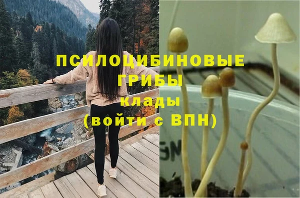 метадон Армянск