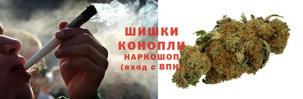 apvp Аркадак