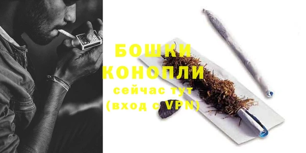 apvp Аркадак